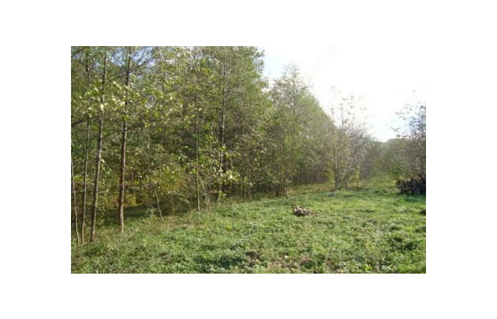 podkarpackie, Rzeszów, Działka na sprzedaż