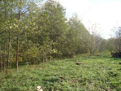 Rzeszów, św. Marcina, Działka na sprzedaż