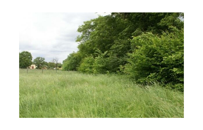 podkarpackie, Rzeszów, Działka do dzierżawy