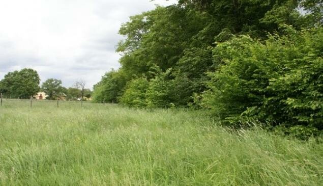 Rzeszów, al. Tadeusza Rejtana, Działka do dzierżawy